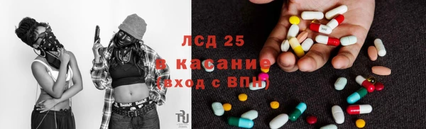 мяу мяу мука Алексеевка