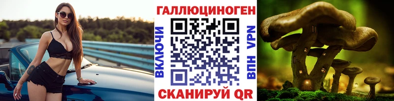 kraken сайт  Нарткала  Псилоцибиновые грибы Cubensis 